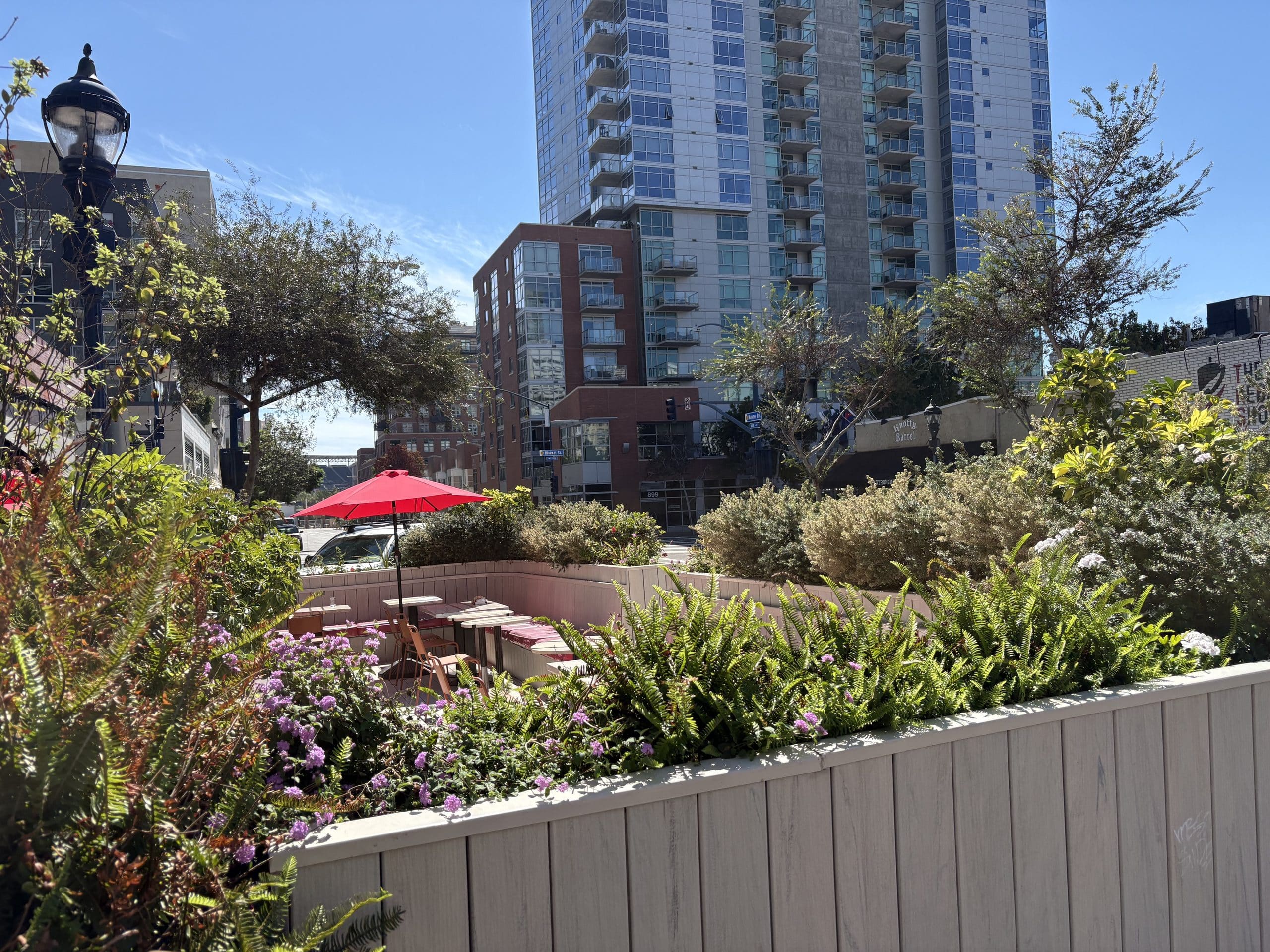 Noticing-Greenery-In-Downtown-San-Diego